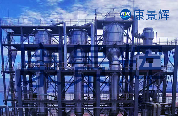 產(chǎn)固量2.5t/h溴化鈉三效蒸發(fā)器