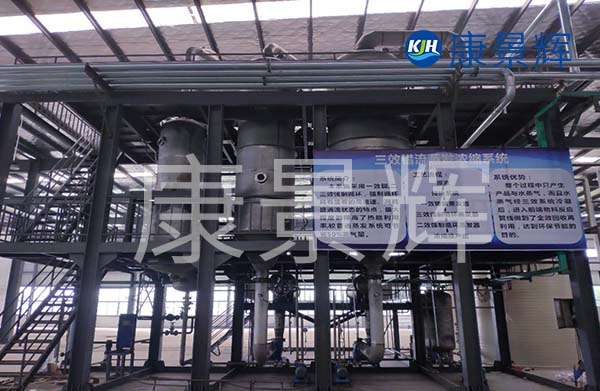 多效降膜蒸發(fā)器可以用來(lái)濃縮處理廢水，特別適合處理牛奶、淀粉、葡萄糖等食品廠廢水的加工處理中